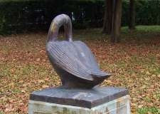 Schwan 1995