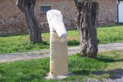 P 20 Vogelkopf II 1972