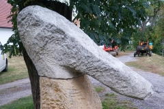 P 20 Vogelkopf II 1972